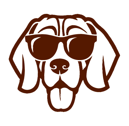 Pet friendly campervan holidays